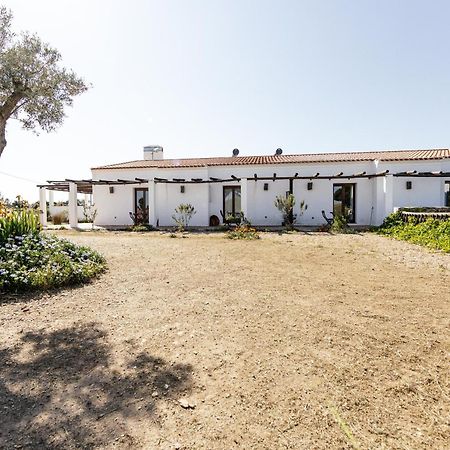 Vila Verde de Ficalho Agroturismo Flores Do Campo 빌라 외부 사진