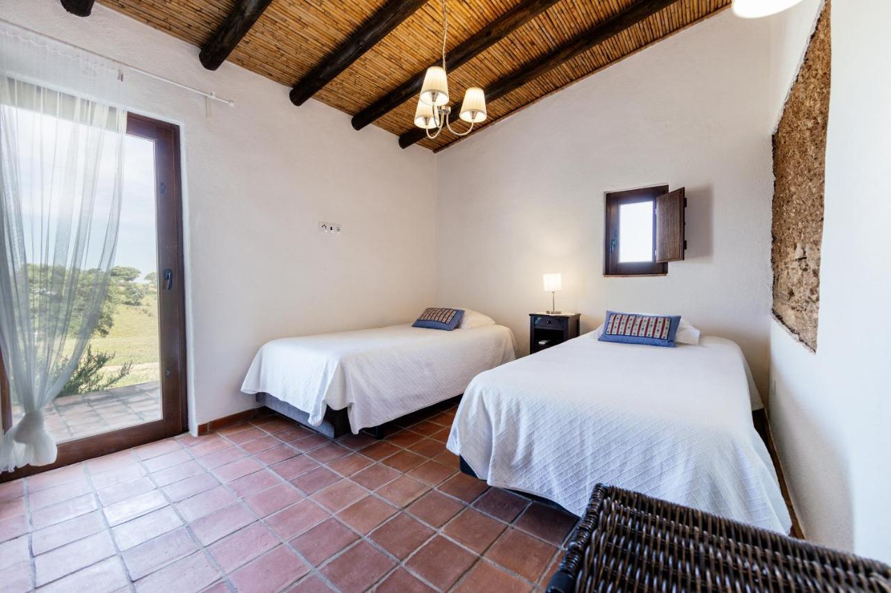 Vila Verde de Ficalho Agroturismo Flores Do Campo 빌라 외부 사진