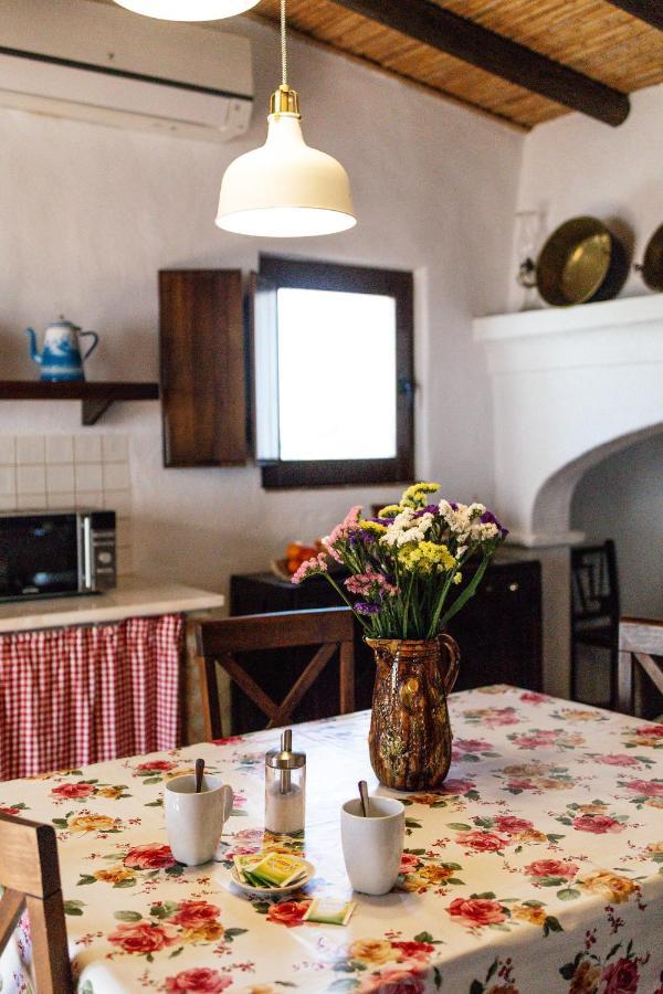 Vila Verde de Ficalho Agroturismo Flores Do Campo 빌라 외부 사진