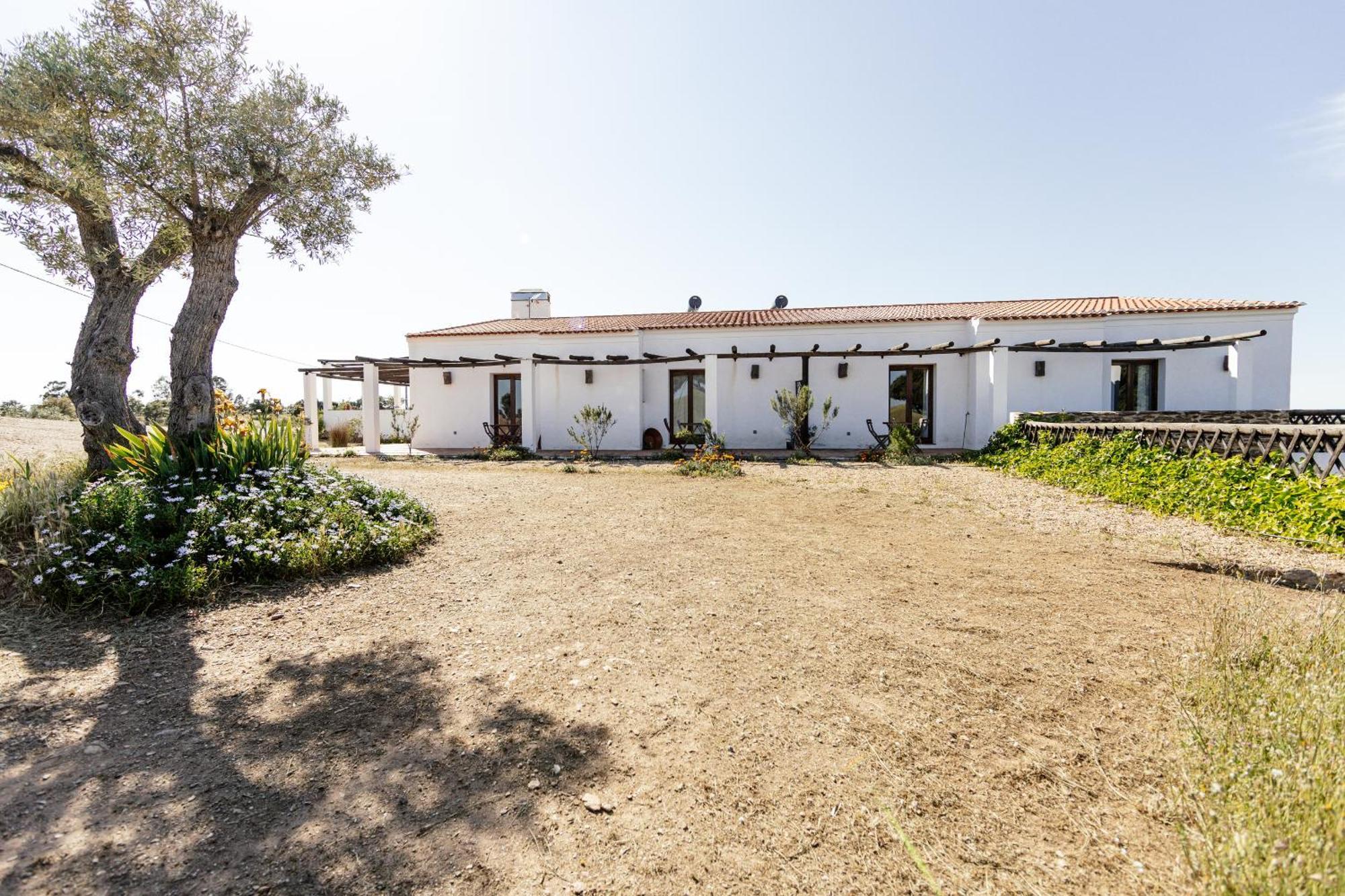 Vila Verde de Ficalho Agroturismo Flores Do Campo 빌라 외부 사진