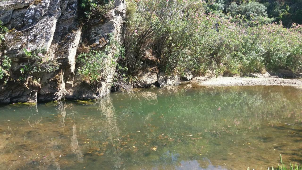Vila Verde de Ficalho Agroturismo Flores Do Campo 빌라 외부 사진